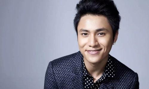 何静爆料汪正正视频在线观看,在线观看揭秘瞬间